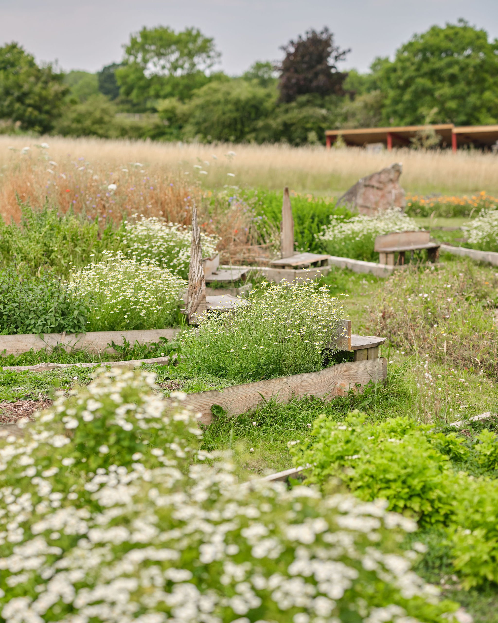 Apothecary Garden photo 2