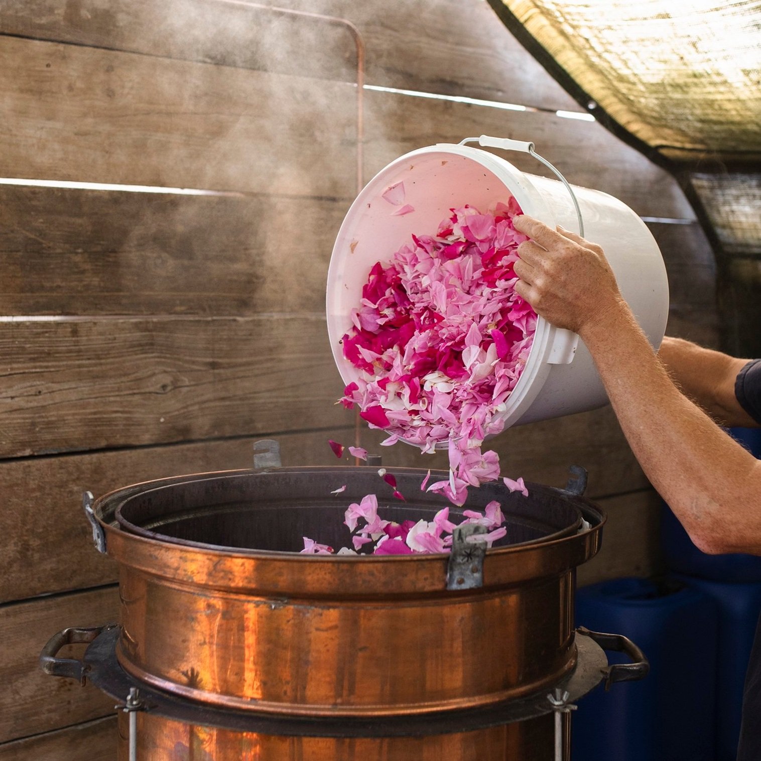 Apothecary Garden gallery