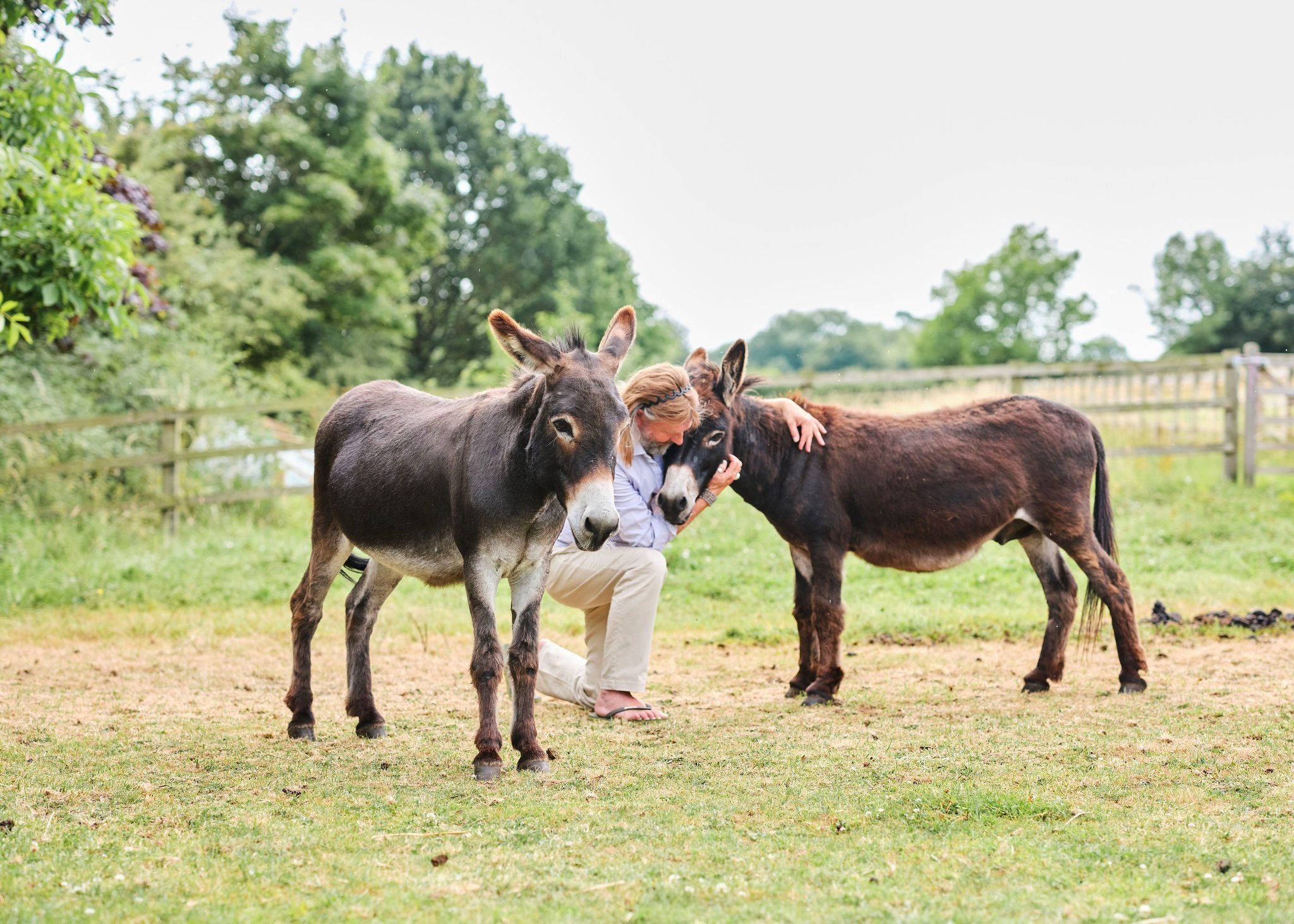 Apothecary Garden gallery