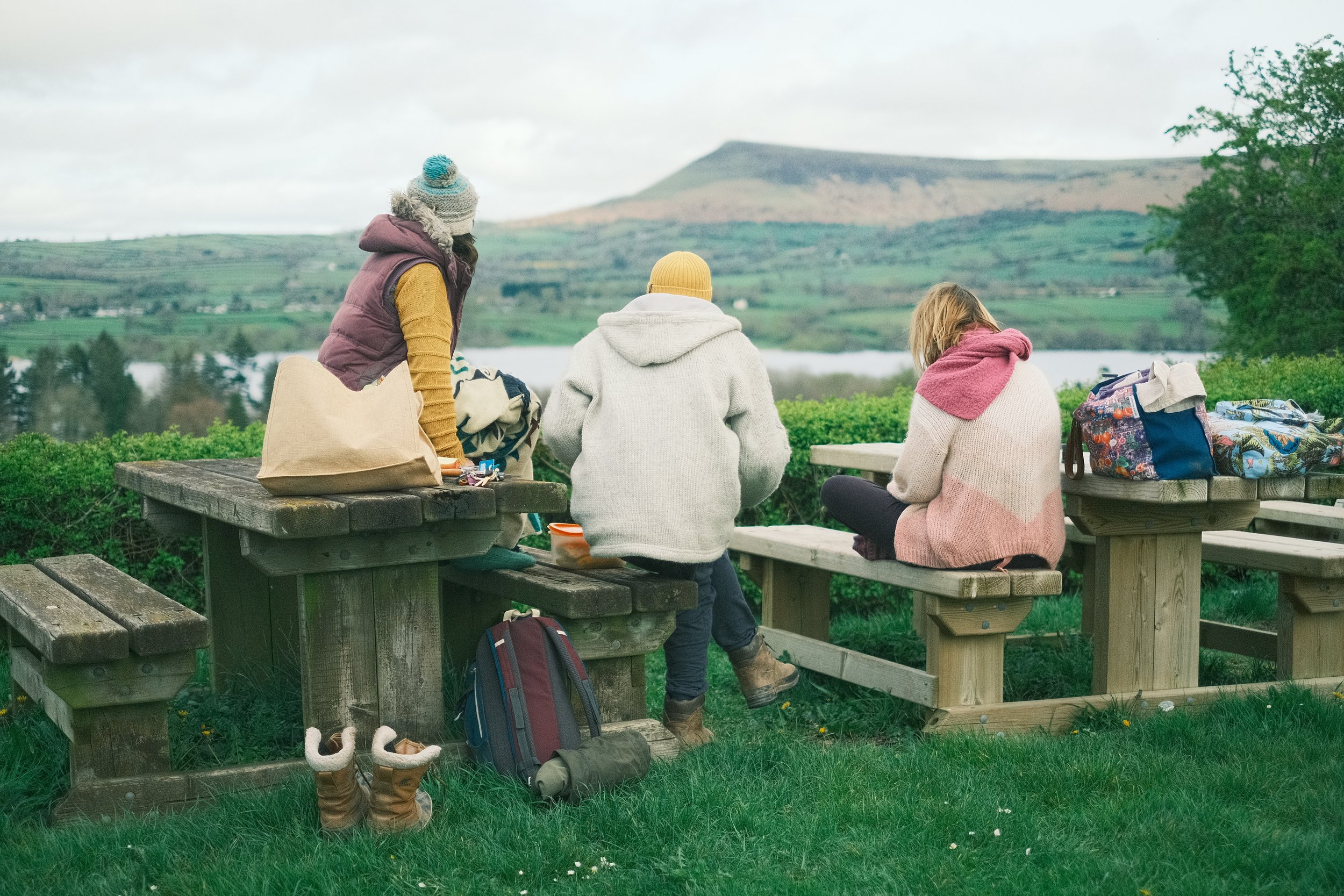 Awakening the Wild gallery