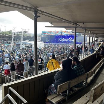 Back to the Roots gallery