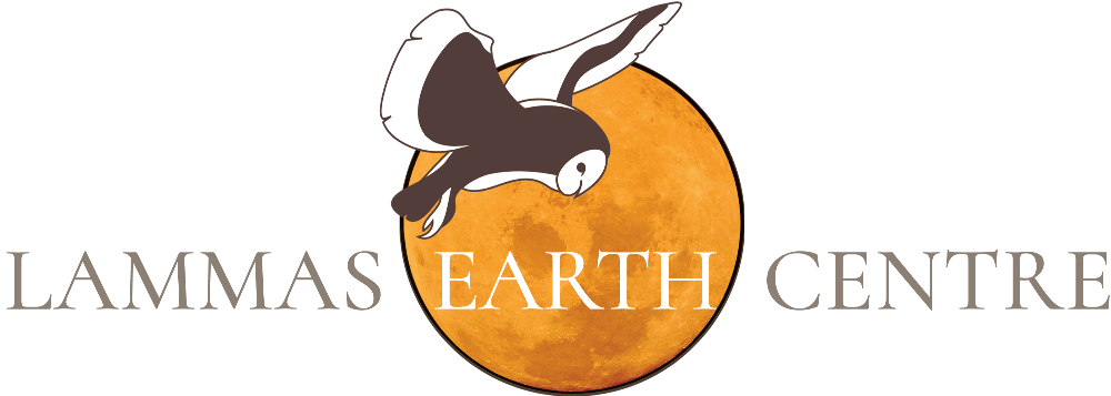 Lammas Earth Centre gallery