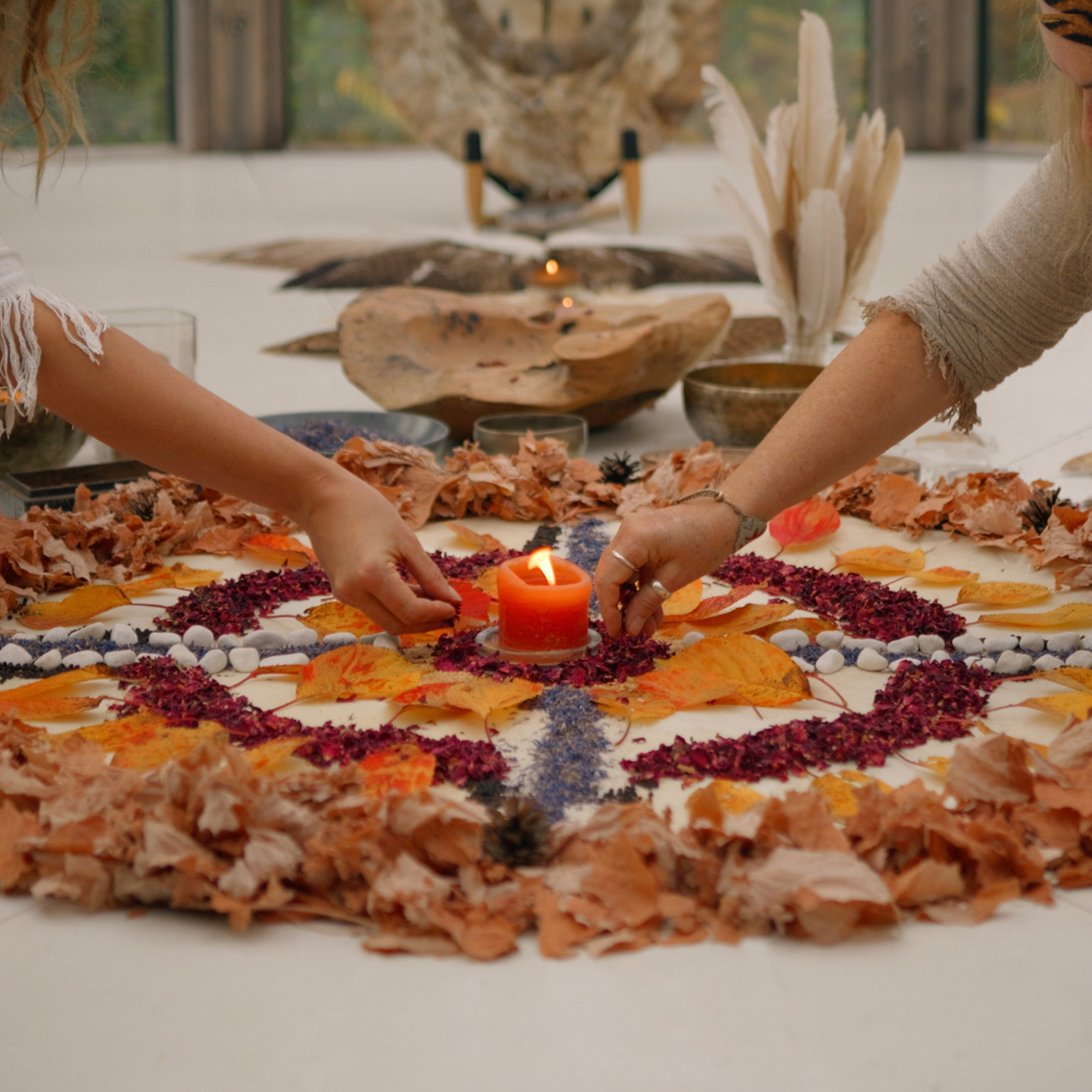 Lammas Earth Centre gallery