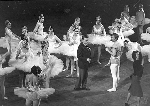 Matthew Liam Gardnew gallery