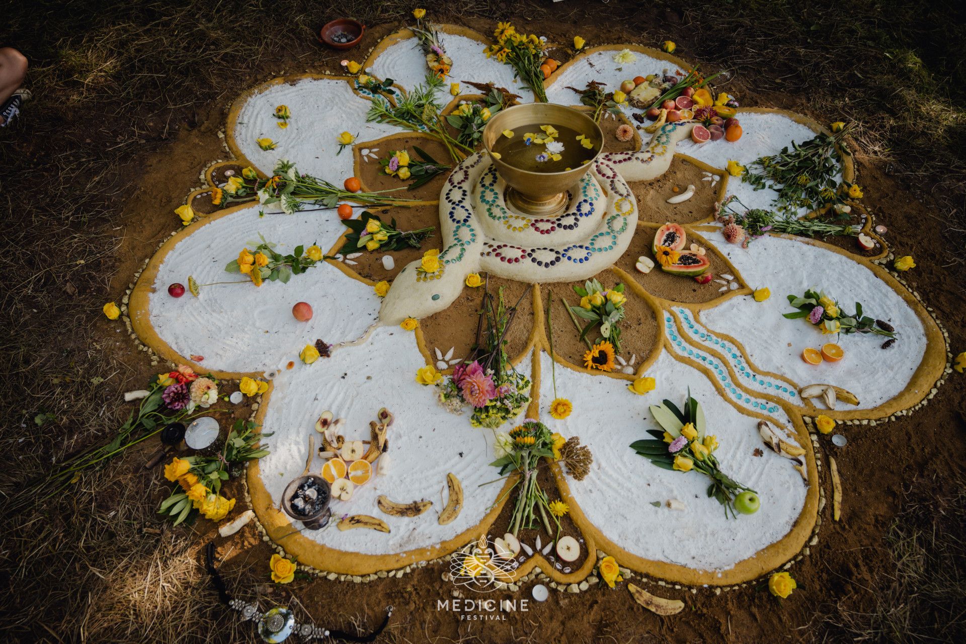 Medicine Festival gallery