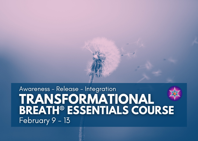 Osho Leela Personal Development Centre gallery