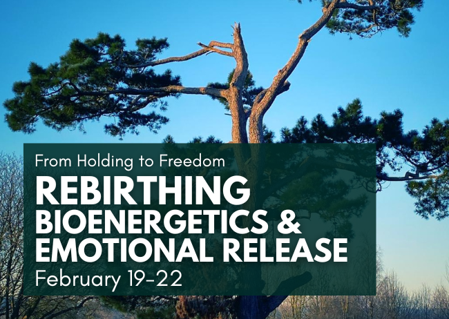 Osho Leela Personal Development Centre gallery