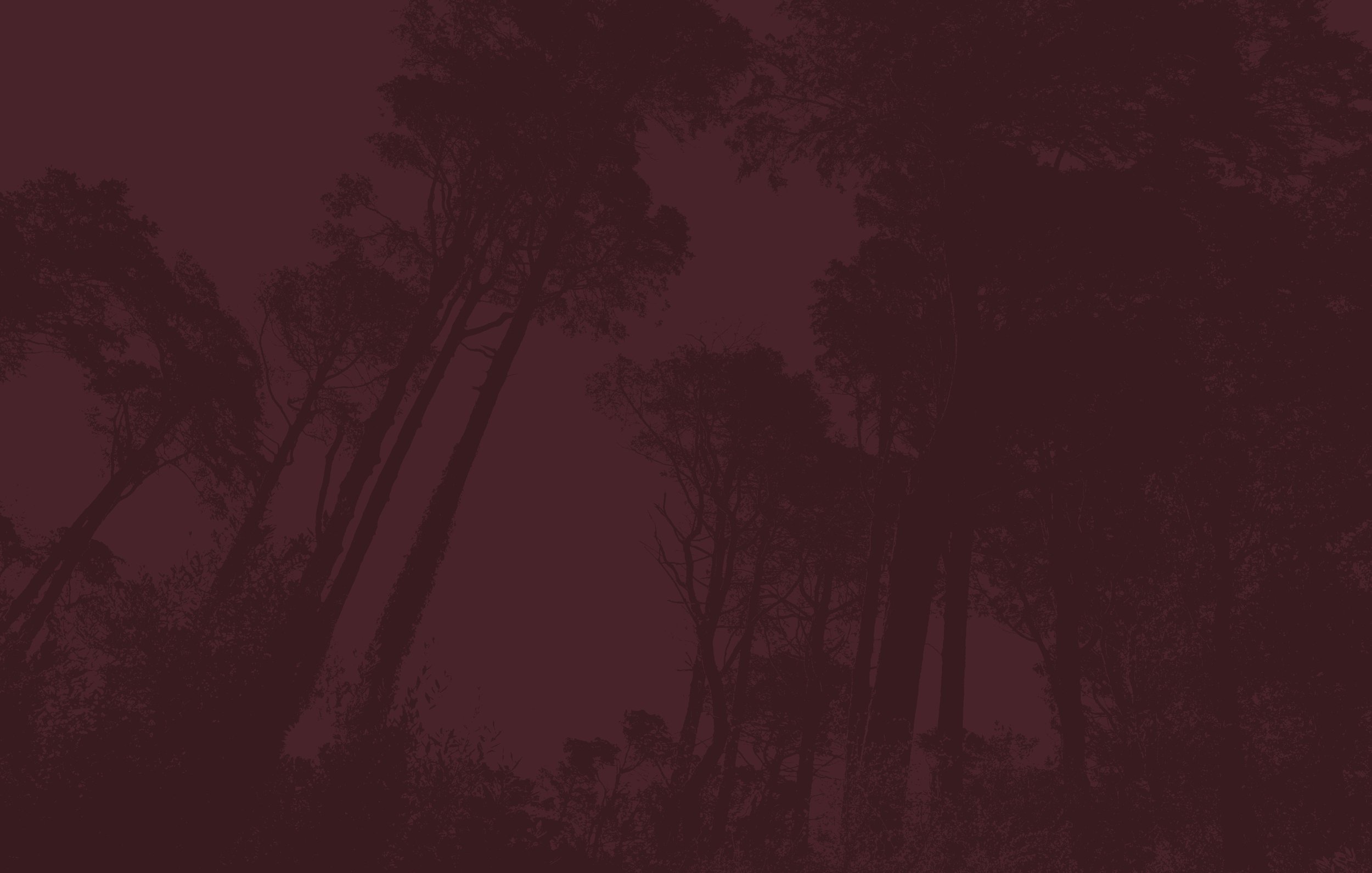 Primal Gathering gallery