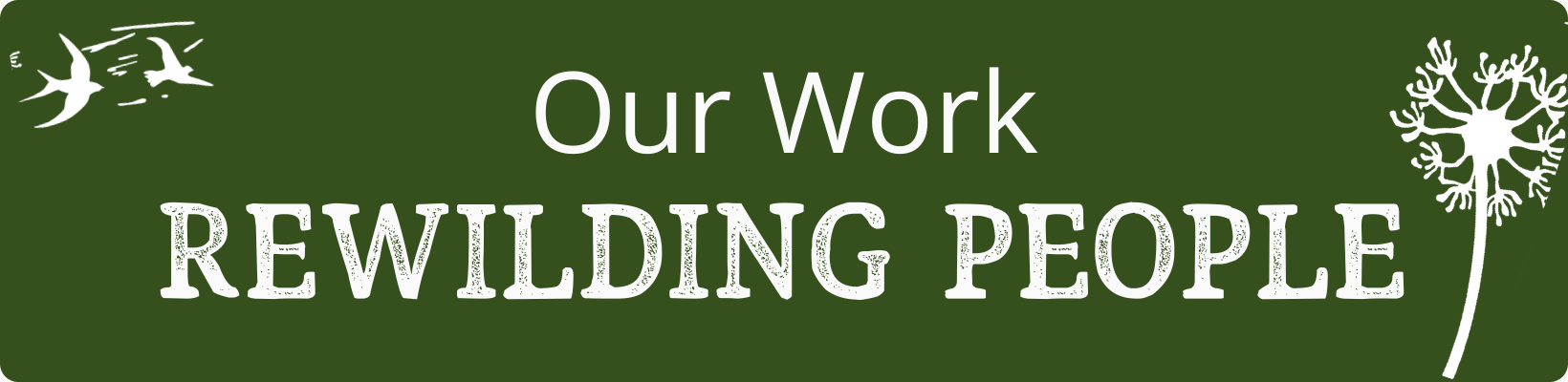 Rewild Project gallery