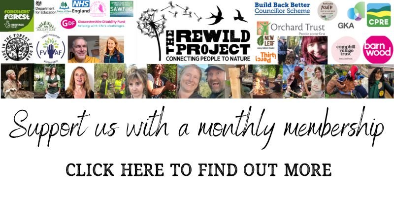 Rewild Project gallery
