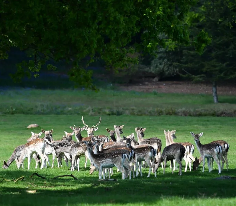 Soul Revolution Festival gallery