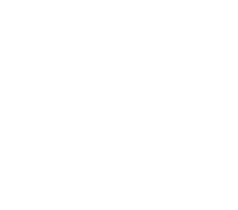 Vegan Camp Out gallery