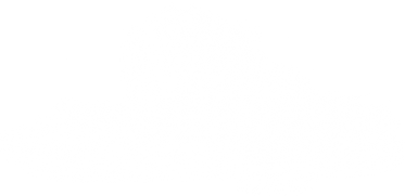 Vegan Camp Out gallery